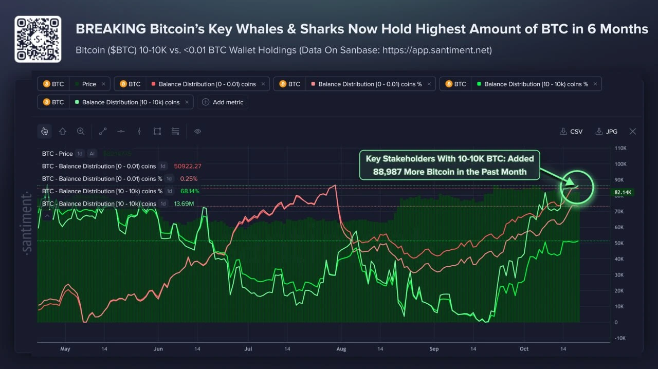 Akumulasi Bitcoin oleh Whale - Santiment