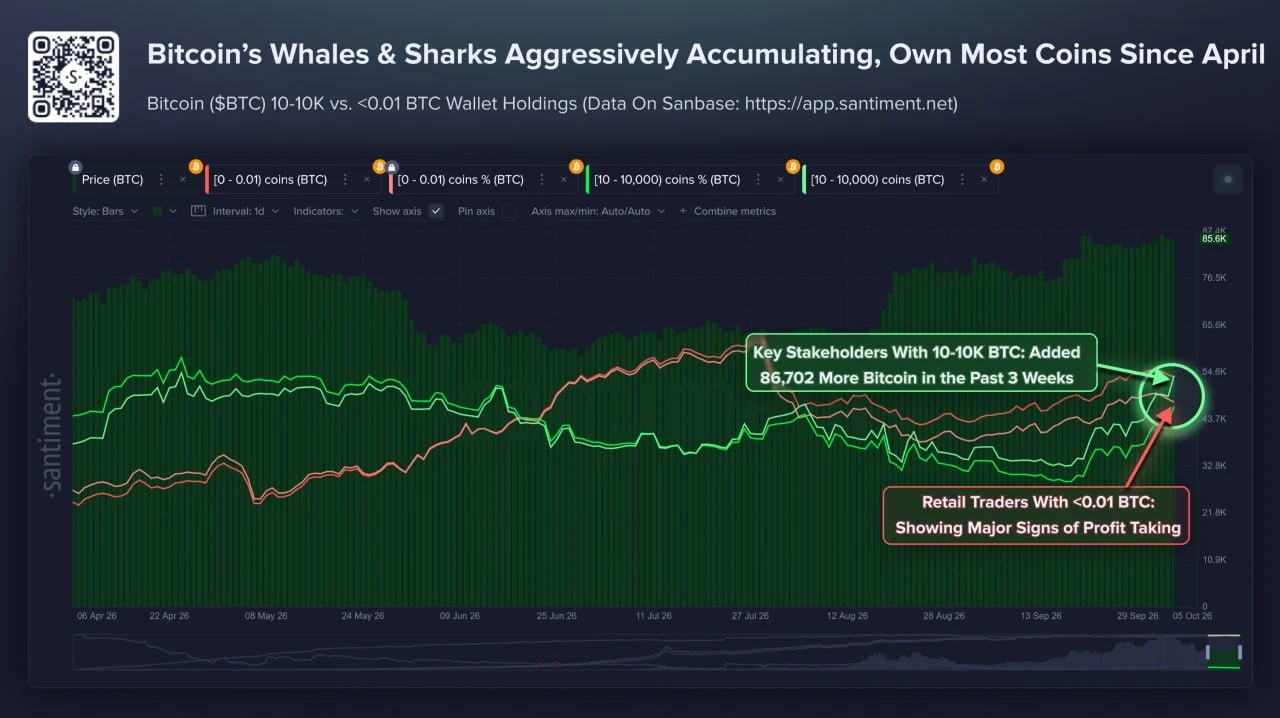 Akumulasi Bitcoin oleh Whale dan Shark - Santiment