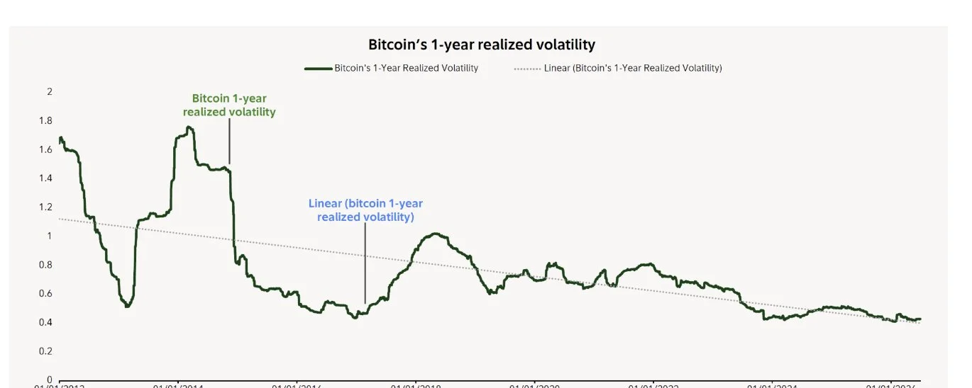 Bitcoin Realized Volatility - Saifedean Ammous