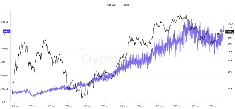 Korelasi Harga Bitcoin dan Hashrate - CryptoQuant