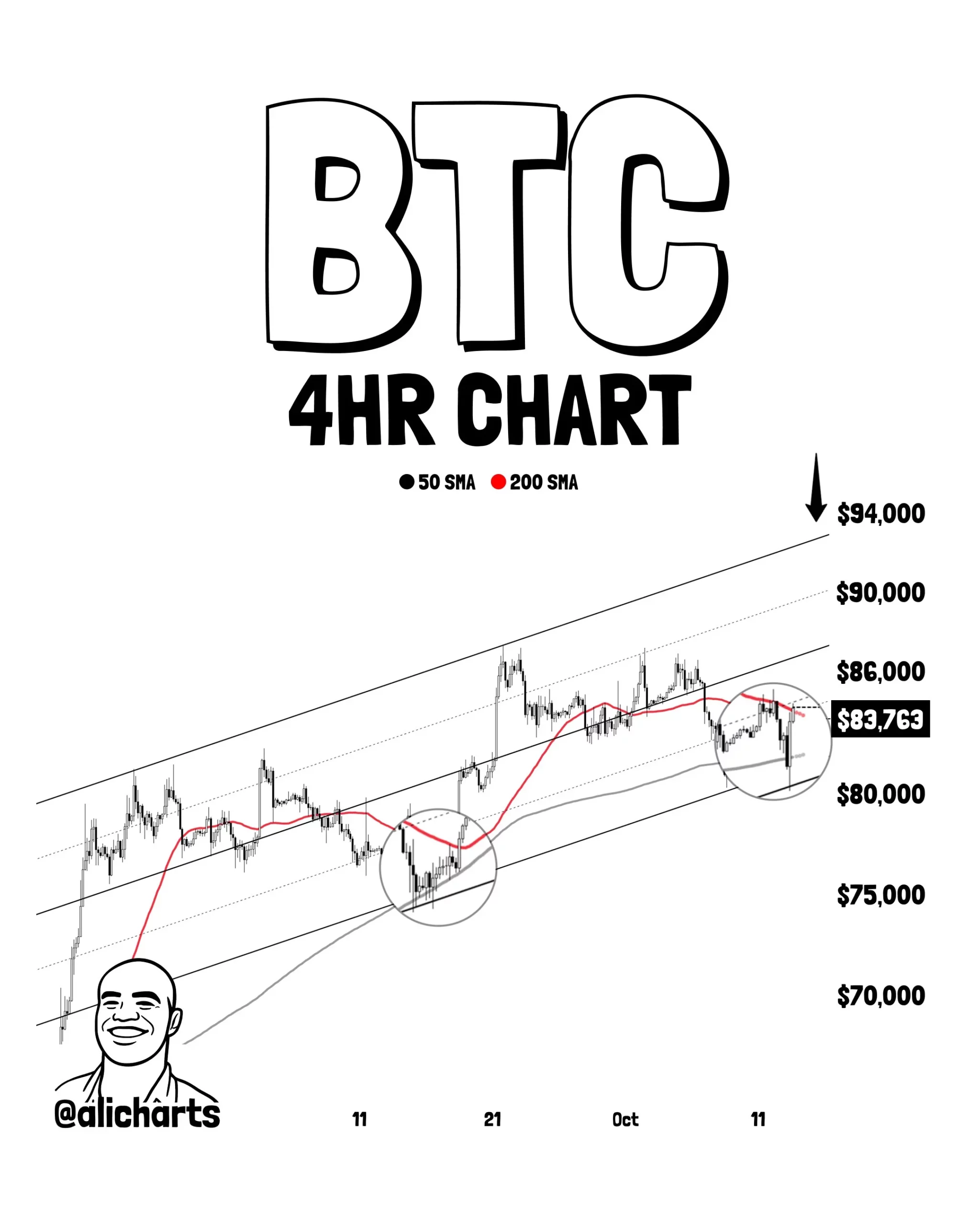 Prediksi Pergerakan Harga Bitcoin - Ali Martinez