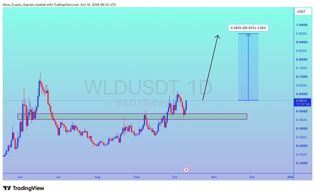 analisis WLD 11 OKT